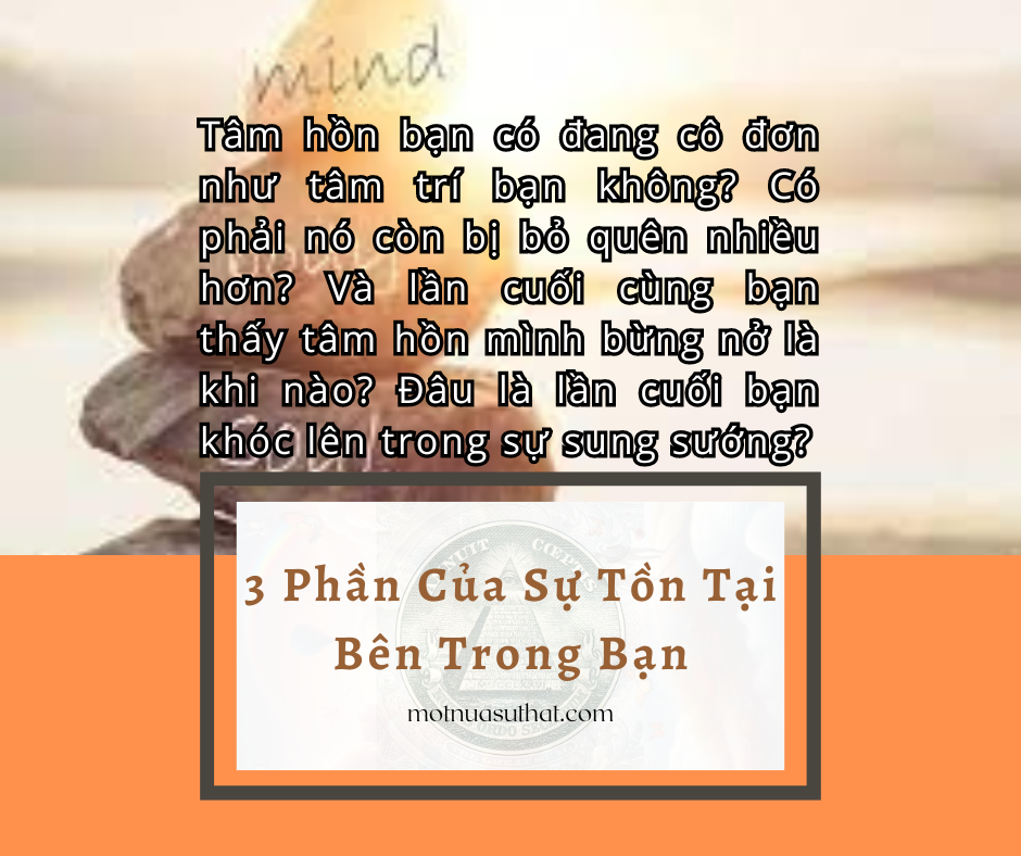 3 PHẦN CỦA SỰ TỒN TẠI BÊN TRONG BẠN