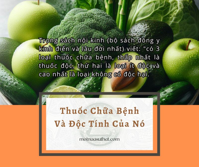 THUỐC CHỮA BỆNH VÀ ĐỘC TÍNH CỦA NÓ